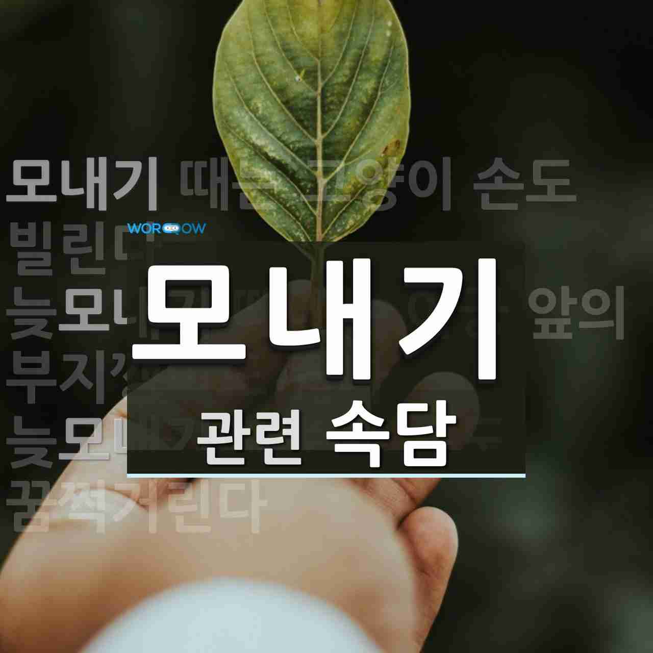 모내기에 관한 속담