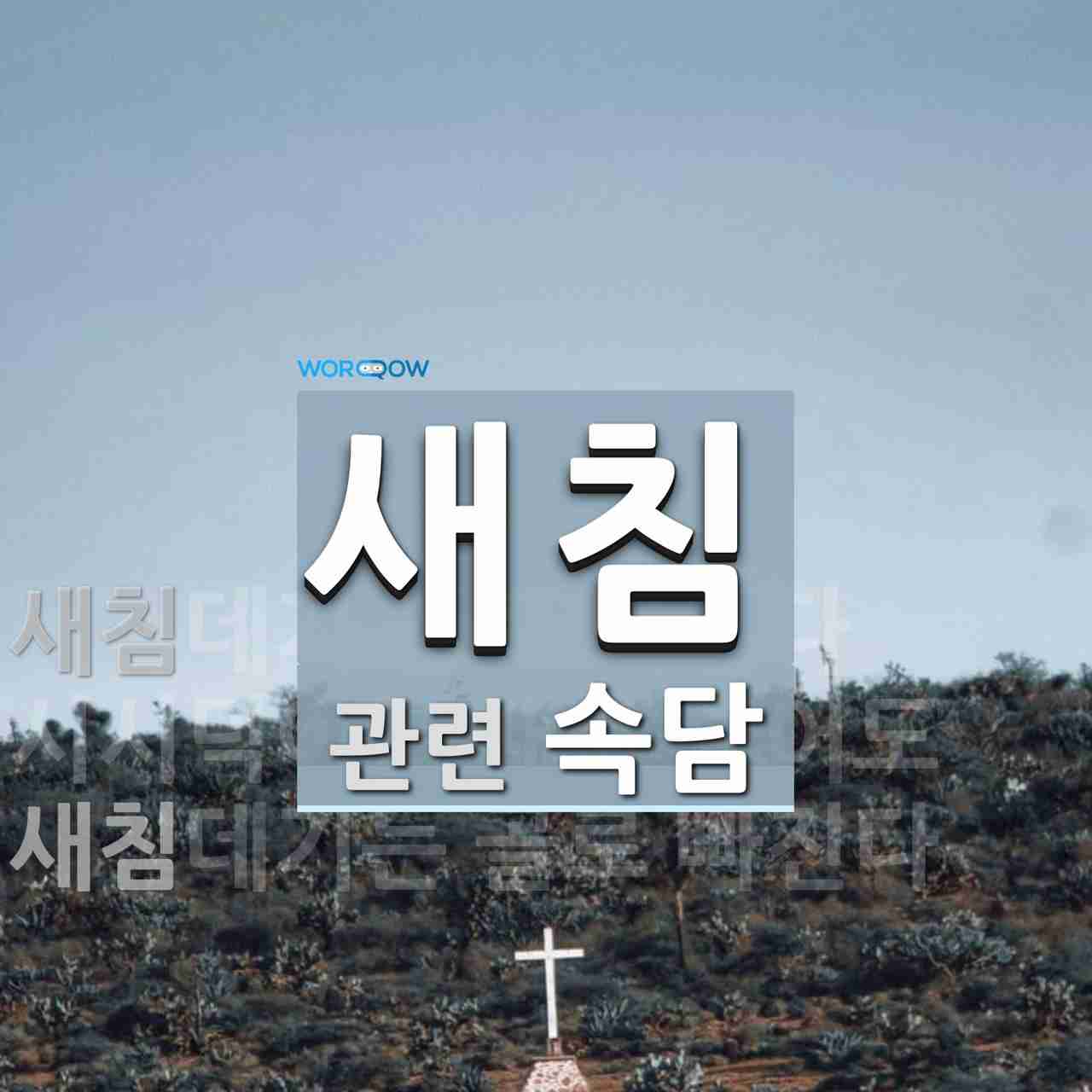 새침에 관한 속담