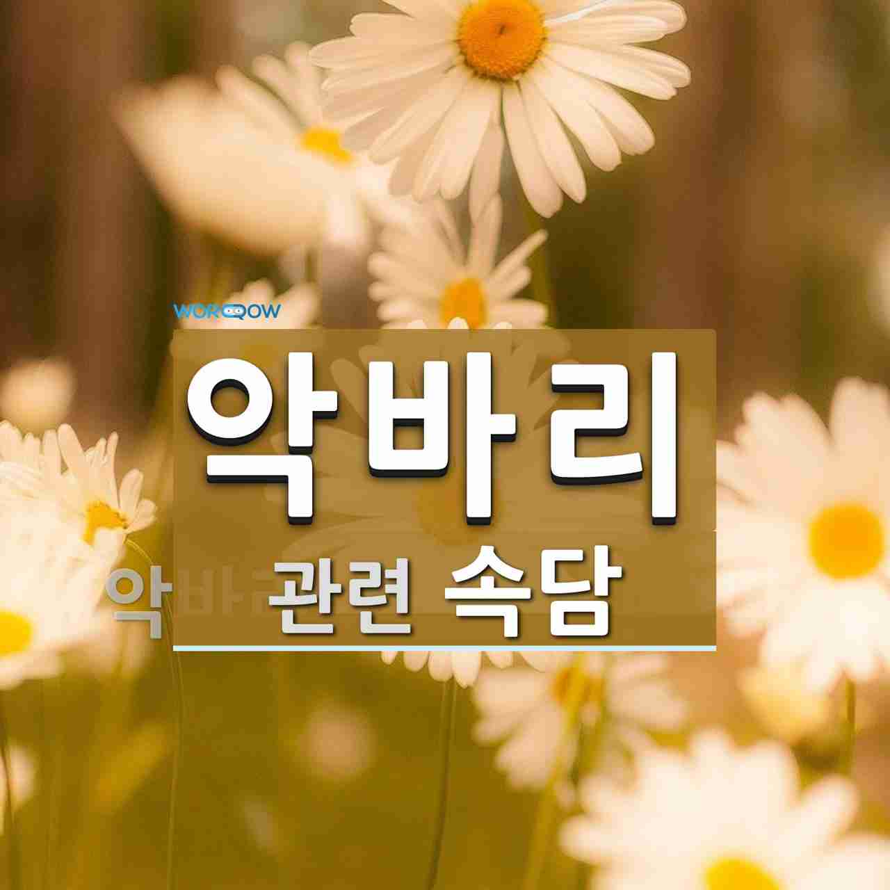 악바리에 관한 속담