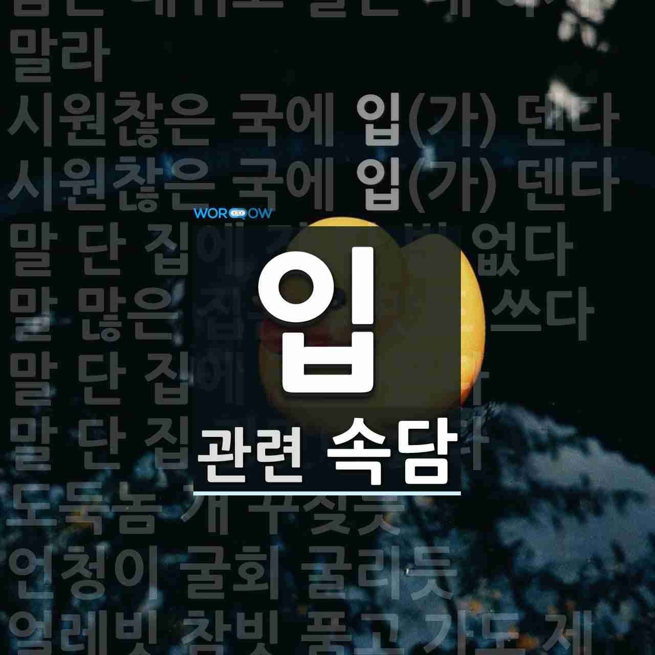 입에 관한 속담