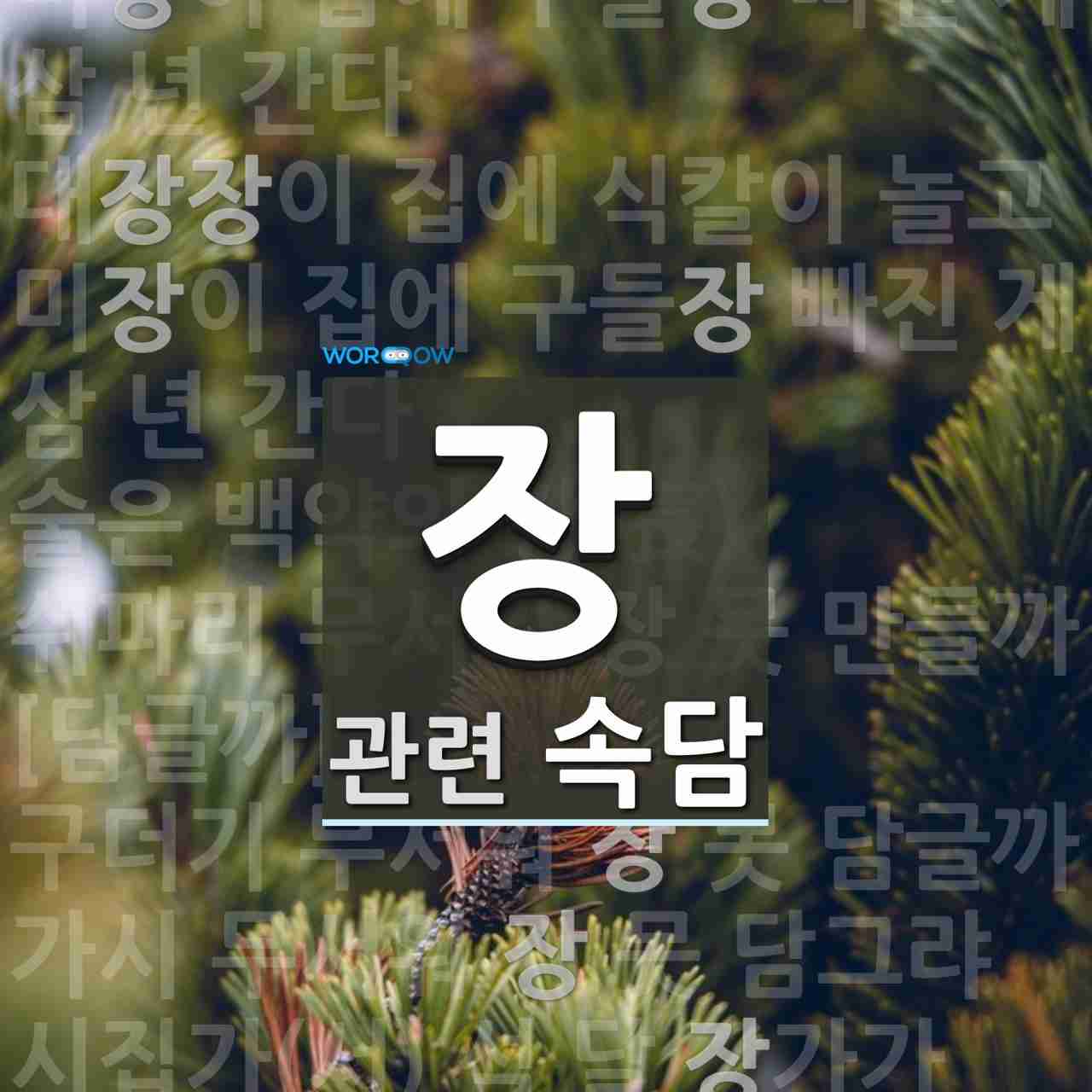 장에 관한 속담