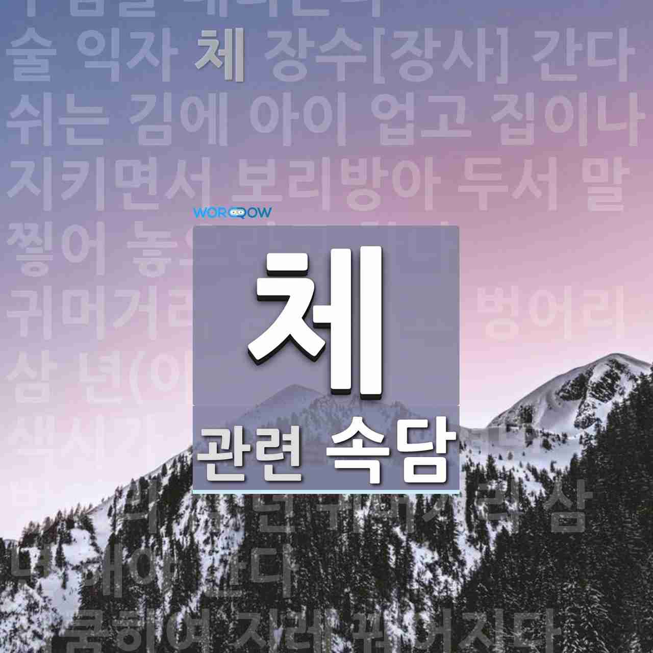 체에 관한 속담