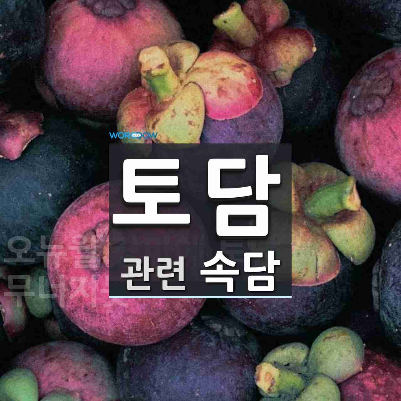 토담에 관한 속담