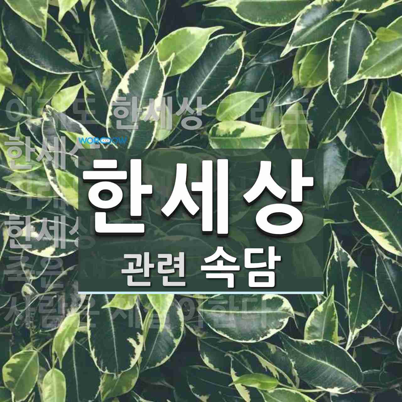 한세상에 관한 속담