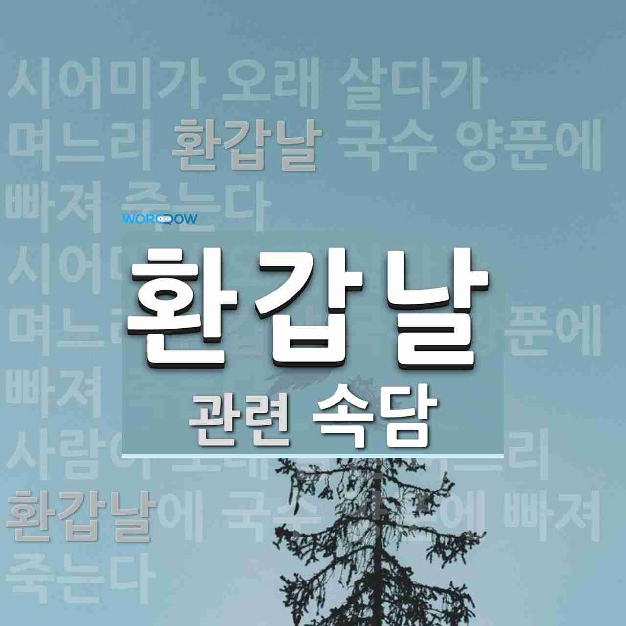 환갑날에 관한 속담