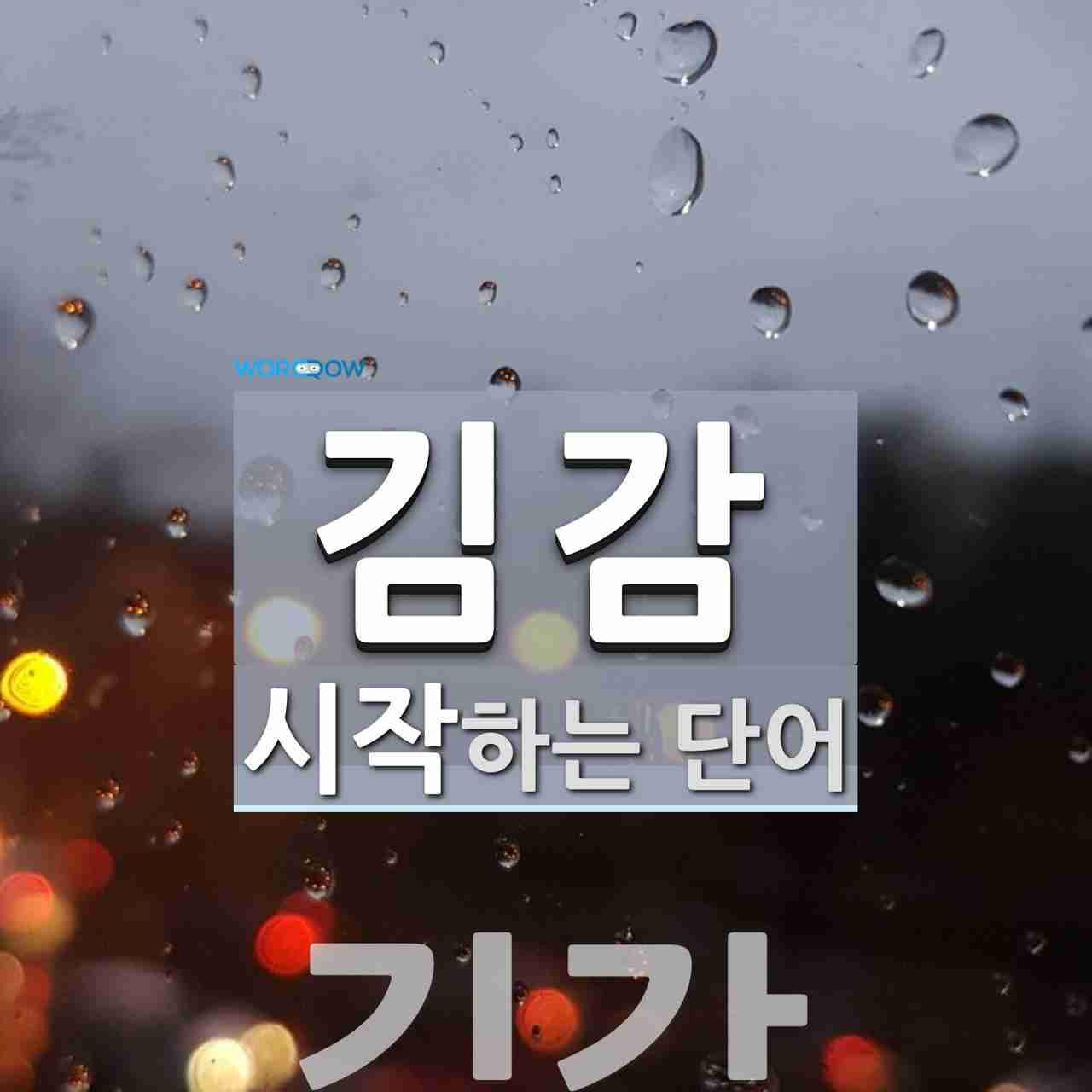 김감으로 시작하는 단어는? 1개