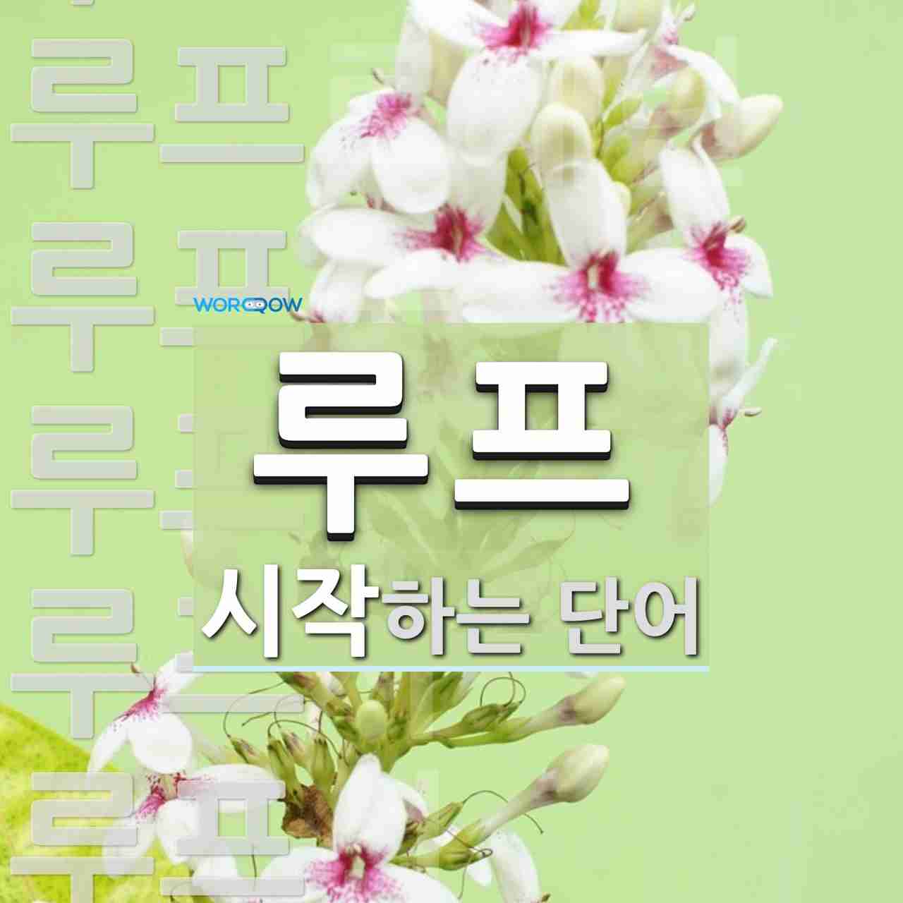 루프로 시작하는 단어는? 100개
