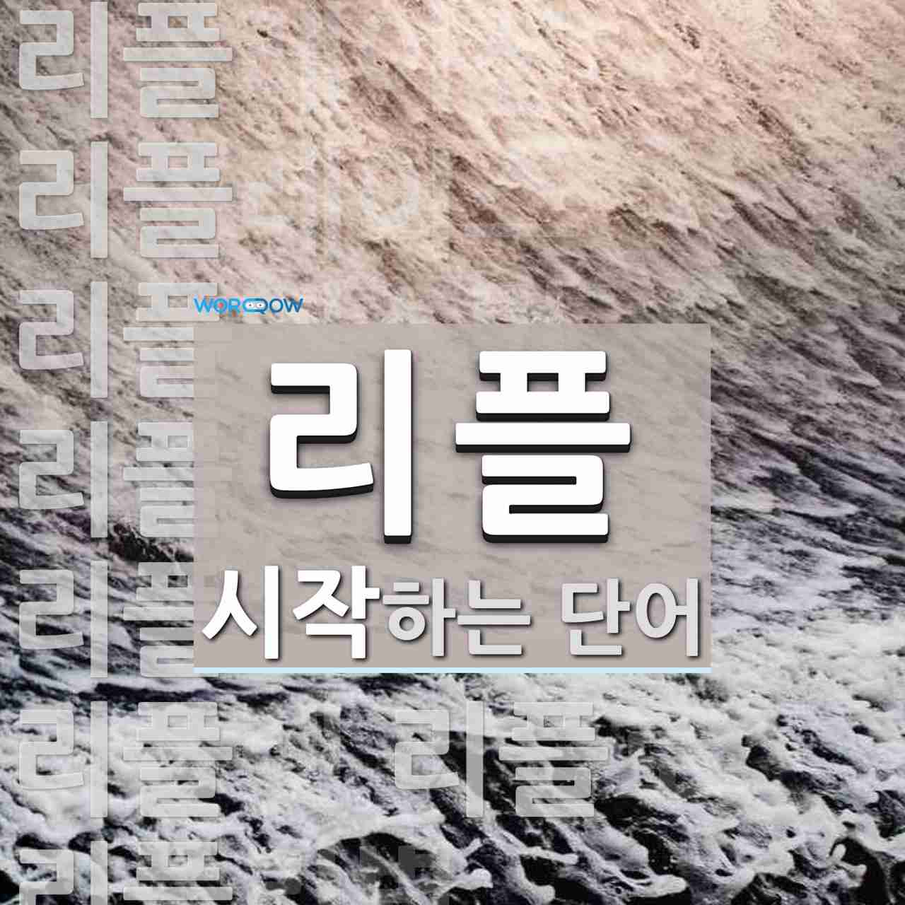 리플로 시작하는 단어는? 41개