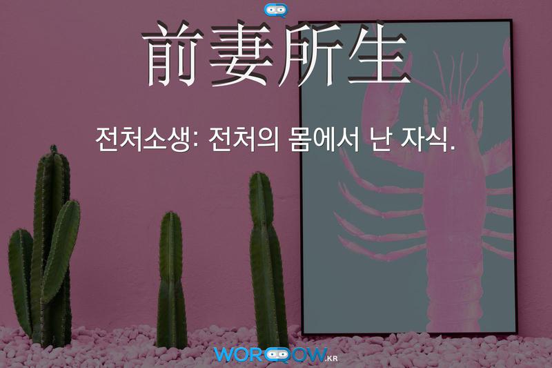 前妻所生(전처소생)의 의미: 전처의 몸에서 난 자식.