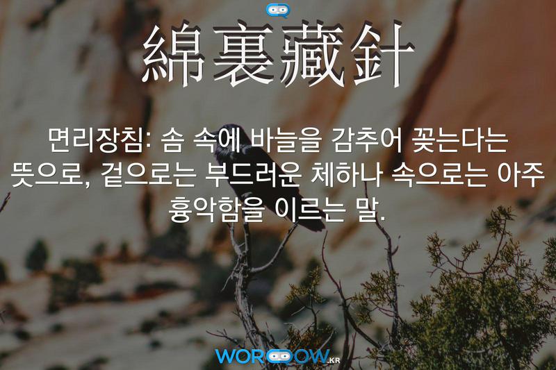 綿裏藏針(면리장침)의 의미: 솜 속에 바늘을 감추어 꽂는다는 뜻으로, 겉으로는 부드러운 체하나 속으로는 아주 흉악함을 이르는 말.
