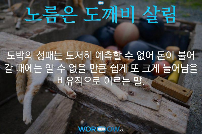 도박에 관한 사진 명언