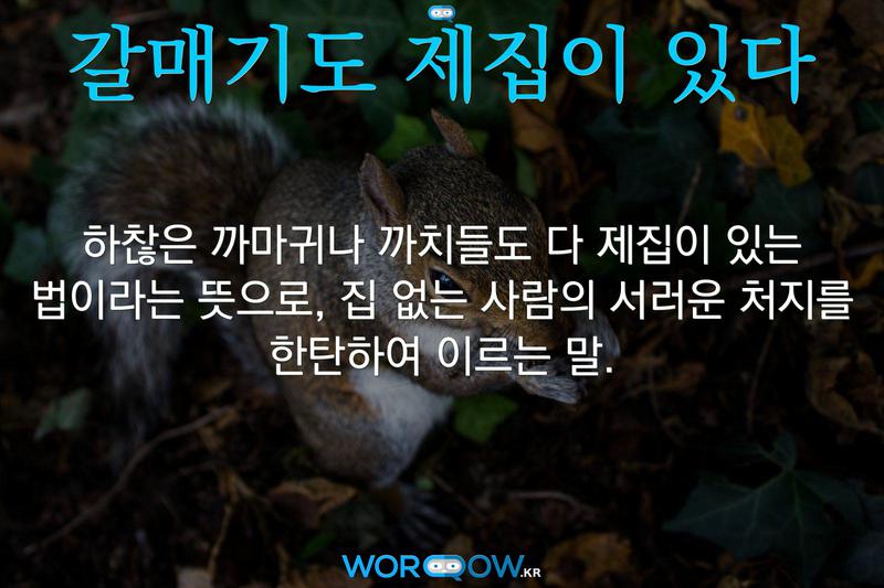갈매기도 제집이 있다: 하찮은 까마귀나 까치들도 다 제집이 있는 법이라는 뜻으로, 집 없는 사람의 서러운 처지를 한탄하여 이르는 말.