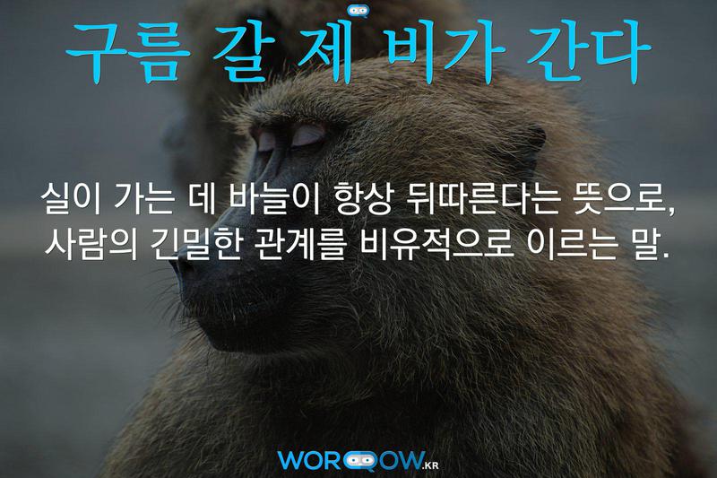 구름 갈 제 비가 간다: 실이 가는 데 바늘이 항상 뒤따른다는 뜻으로, 사람의 긴밀한 관계를 비유적으로 이르는 말.