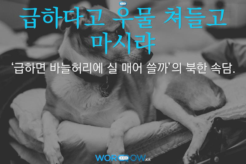 급하다고 우물 쳐들고 마시랴: ‘급하면 바늘허리에 실 매어 쓸까’의 북한 속담.