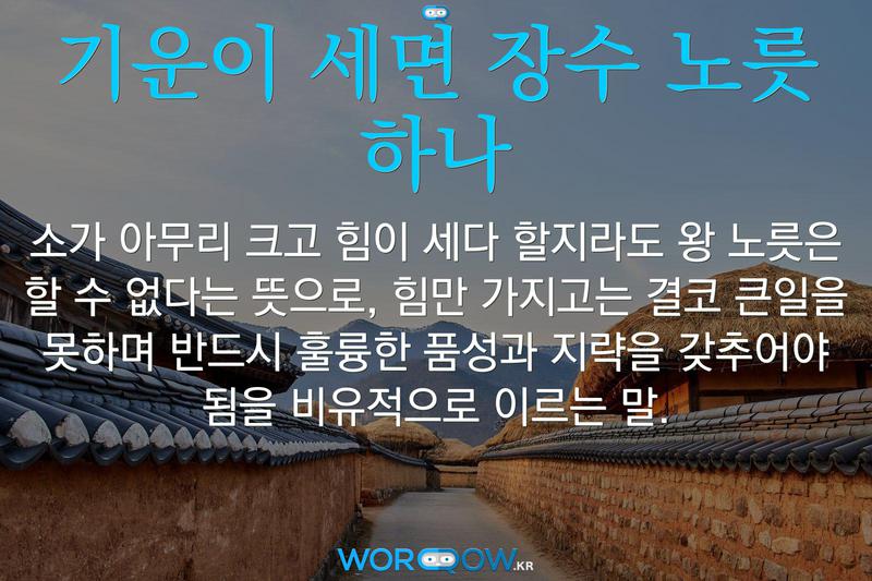 기운이 세면 장수 노릇 하나: 소가 아무리 크고 힘이 세다 할지라도 왕 노릇은 할 수 없다는 뜻으로, 힘만 가지고는 결코 큰일을 못하며 반드시 훌륭한 품성과 지략을 갖추어야 됨을 비유적으로 이르는 말.