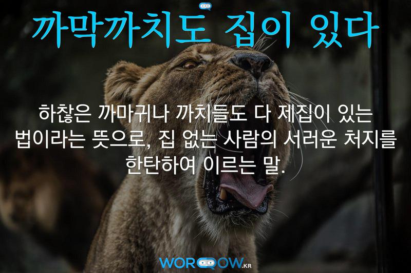 까막까치도 집이 있다: 하찮은 까마귀나 까치들도 다 제집이 있는 법이라는 뜻으로, 집 없는 사람의 서러운 처지를 한탄하여 이르는 말.