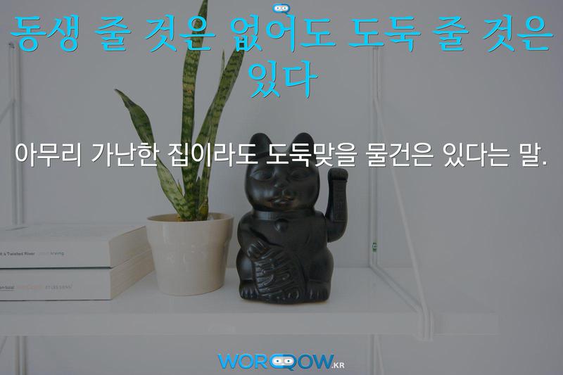 동생 줄 것은 없어도 도둑 줄 것은 있다: 아무리 가난한 집이라도 도둑맞을 물건은 있다는 말.