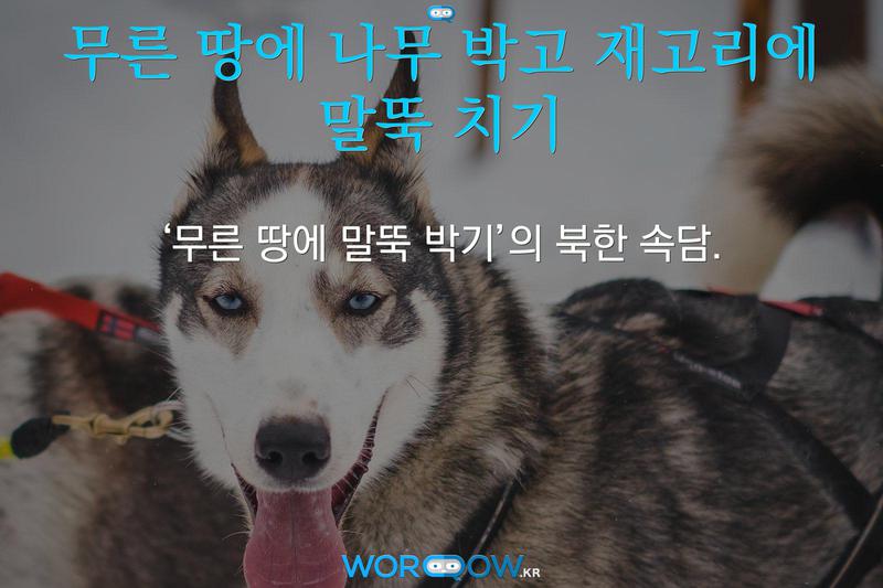 무른 땅에 나무 박고 재고리에 말뚝 치기: ‘무른 땅에 말뚝 박기’의 북한 속담.
