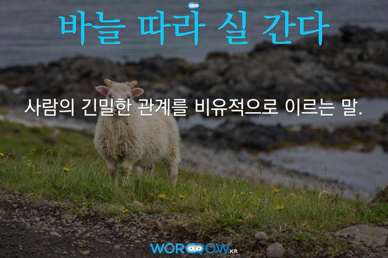 바늘 따라 실 간다: 사람의 긴밀한 관계를 비유적으로 이르는 말.