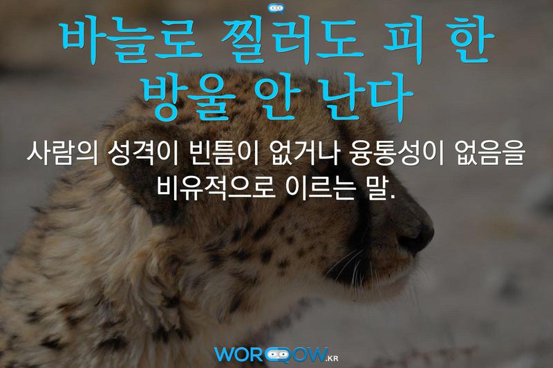 바늘로 찔러도 피 한 방울 안 난다: 사람의 성격이 빈틈이 없거나 융통성이 없음을 비유적으로 이르는 말.