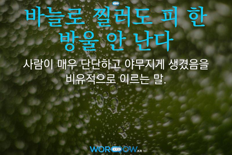 바늘로 찔러도 피 한 방울 안 난다: 사람이 매우 단단하고 야무지게 생겼음을 비유적으로 이르는 말.