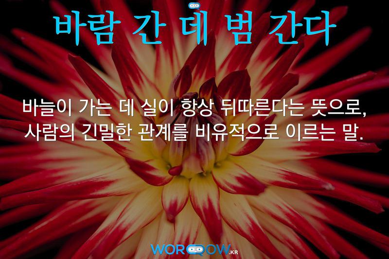바람 간 데 범 간다: 바늘이 가는 데 실이 항상 뒤따른다는 뜻으로, 사람의 긴밀한 관계를 비유적으로 이르는 말.