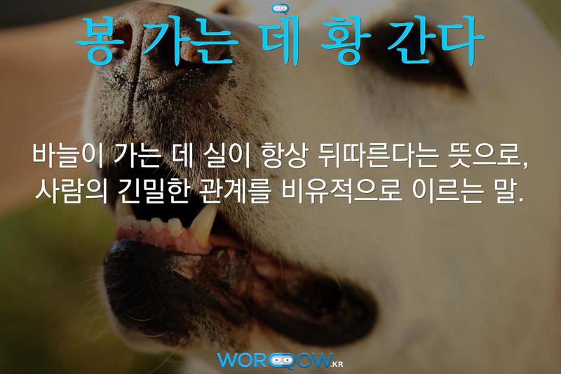 봉 가는 데 황 간다: 바늘이 가는 데 실이 항상 뒤따른다는 뜻으로, 사람의 긴밀한 관계를 비유적으로 이르는 말.