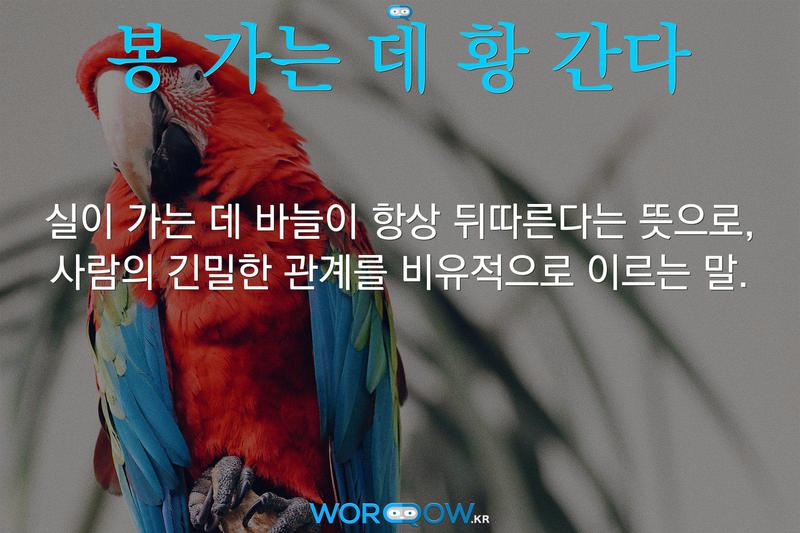 봉 가는 데 황 간다: 실이 가는 데 바늘이 항상 뒤따른다는 뜻으로, 사람의 긴밀한 관계를 비유적으로 이르는 말.