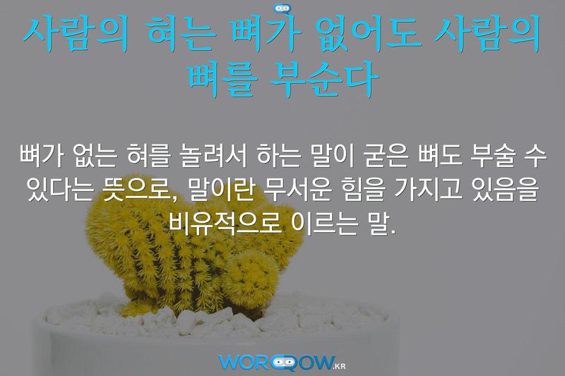 사람의 혀는 뼈가 없어도 사람의 뼈를 부순다: 뼈가 없는 혀를 놀려서 하는 말이 굳은 뼈도 부술 수 있다는 뜻으로, 말이란 무서운 힘을 가지고 있음을 비유적으로 이르는 말.