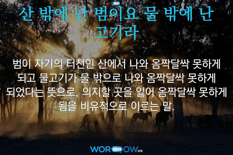 산 밖에 난 범이요 물 밖에 난 고기라: 범이 자기의 터전인 산에서 나와 옴짝달싹 못하게 되고 물고기가 물 밖으로 나와 옴짝달싹 못하게 되었다는 뜻으로, 의지할 곳을 잃어 옴짝달싹 못하게 됨을 비유적으로 이르는 말.
