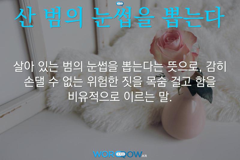 산 범의 눈썹을 뽑는다: 살아 있는 범의 눈썹을 뽑는다는 뜻으로, 감히 손댈 수 없는 위험한 짓을 목숨 걸고 함을 비유적으로 이르는 말.