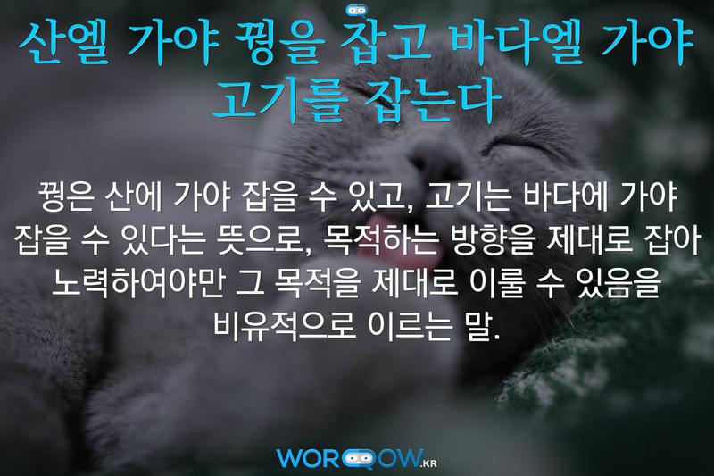 산엘 가야 꿩을 잡고 바다엘 가야 고기를 잡는다: 꿩은 산에 가야 잡을 수 있고, 고기는 바다에 가야 잡을 수 있다는 뜻으로, 목적하는 방향을 제대로 잡아 노력하여야만 그 목적을 제대로 이룰 수 있음을 비유적으로 이르는 말.