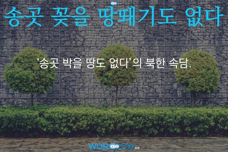 송곳 꽂을 땅뙈기도 없다: ‘송곳 박을 땅도 없다’의 북한 속담.