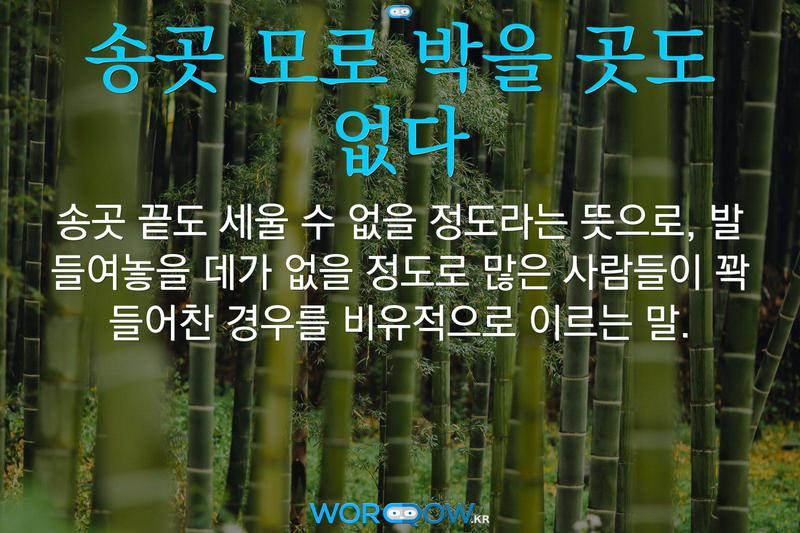 송곳 모로 박을 곳도 없다: 송곳 끝도 세울 수 없을 정도라는 뜻으로, 발 들여놓을 데가 없을 정도로 많은 사람들이 꽉 들어찬 경우를 비유적으로 이르는 말.