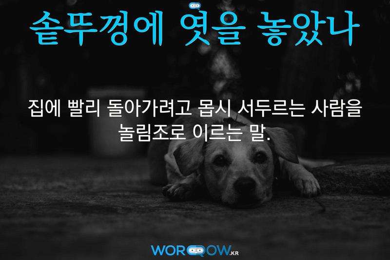 솥뚜껑에 엿을 놓았나: 집에 빨리 돌아가려고 몹시 서두르는 사람을 놀림조로 이르는 말.