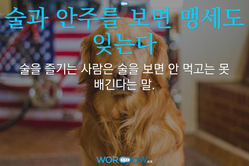 술과 안주를 보면 맹세도 잊는다: 술을 즐기는 사람은 술을 보면 안 먹고는 못 배긴다는 말.