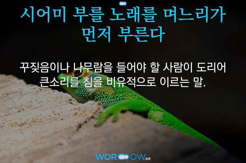 시어미 부를 노래를 며느리가 먼저 부른다: 꾸짖음이나 나무람을 들어야 할 사람이 도리어 큰소리를 침을 비유적으로 이르는 말.