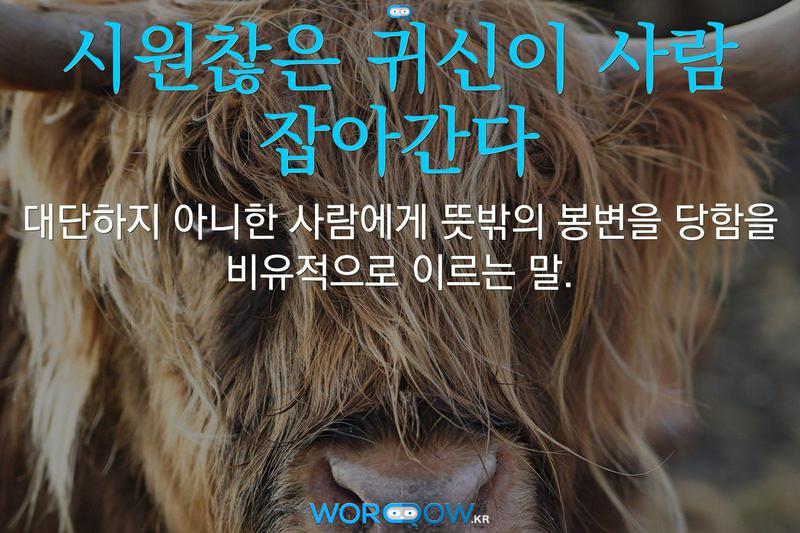 시원찮은 귀신이 사람 잡아간다: 대단하지 아니한 사람에게 뜻밖의 봉변을 당함을 비유적으로 이르는 말.