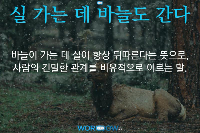 실 가는 데 바늘도 간다: 바늘이 가는 데 실이 항상 뒤따른다는 뜻으로, 사람의 긴밀한 관계를 비유적으로 이르는 말.