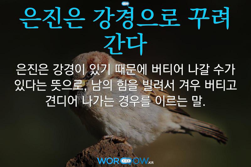 은진은 강경으로 꾸려 간다: 은진은 강경이 있기 때문에 버티어 나갈 수가 있다는 뜻으로, 남의 힘을 빌려서 겨우 버티고 견디어 나가는 경우를 이르는 말.