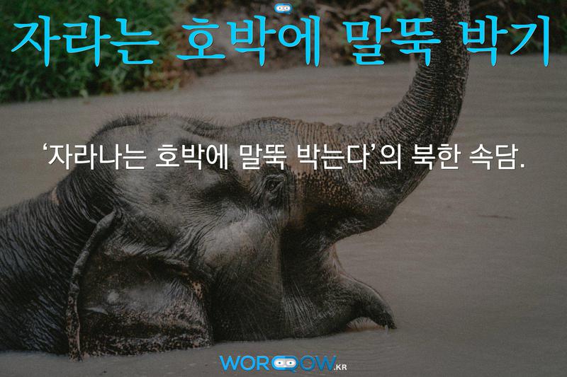 자라는 호박에 말뚝 박기: ‘자라나는 호박에 말뚝 박는다’의 북한 속담.