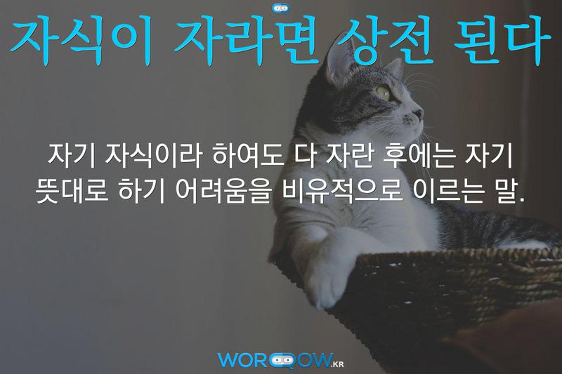 자식이 자라면 상전 된다: 자기 자식이라 하여도 다 자란 후에는 자기 뜻대로 하기 어려움을 비유적으로 이르는 말.