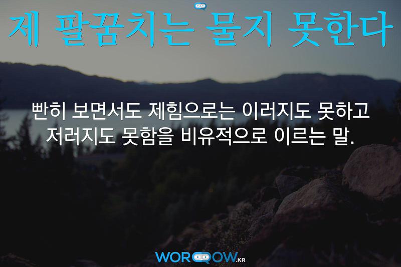 제 팔꿈치는 물지 못한다: 빤히 보면서도 제힘으로는 이러지도 못하고 저러지도 못함을 비유적으로 이르는 말.