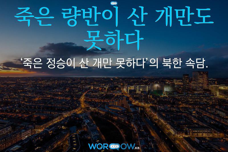 죽은 량반이 산 개만도 못하다: ‘죽은 정승이 산 개만 못하다’의 북한 속담.