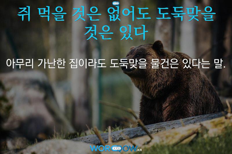 쥐 먹을 것은 없어도 도둑맞을 것은 있다: 아무리 가난한 집이라도 도둑맞을 물건은 있다는 말.