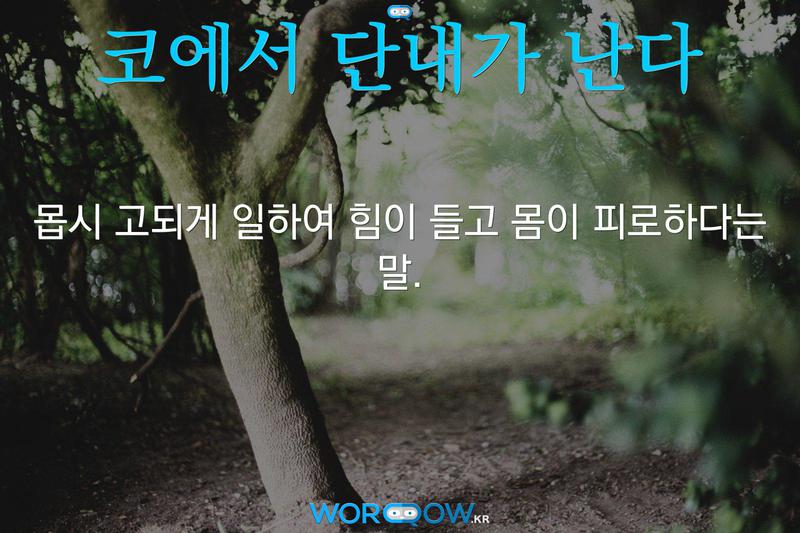 코에서 단내가 난다: 몹시 고되게 일하여 힘이 들고 몸이 피로하다는 말.