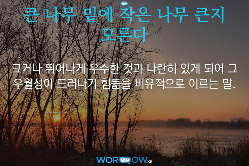 큰 나무 밑에 작은 나무 큰지 모른다: 크거나 뛰어나게 우수한 것과 나란히 있게 되어 그 우월성이 드러나기 힘듦을 비유적으로 이르는 말.